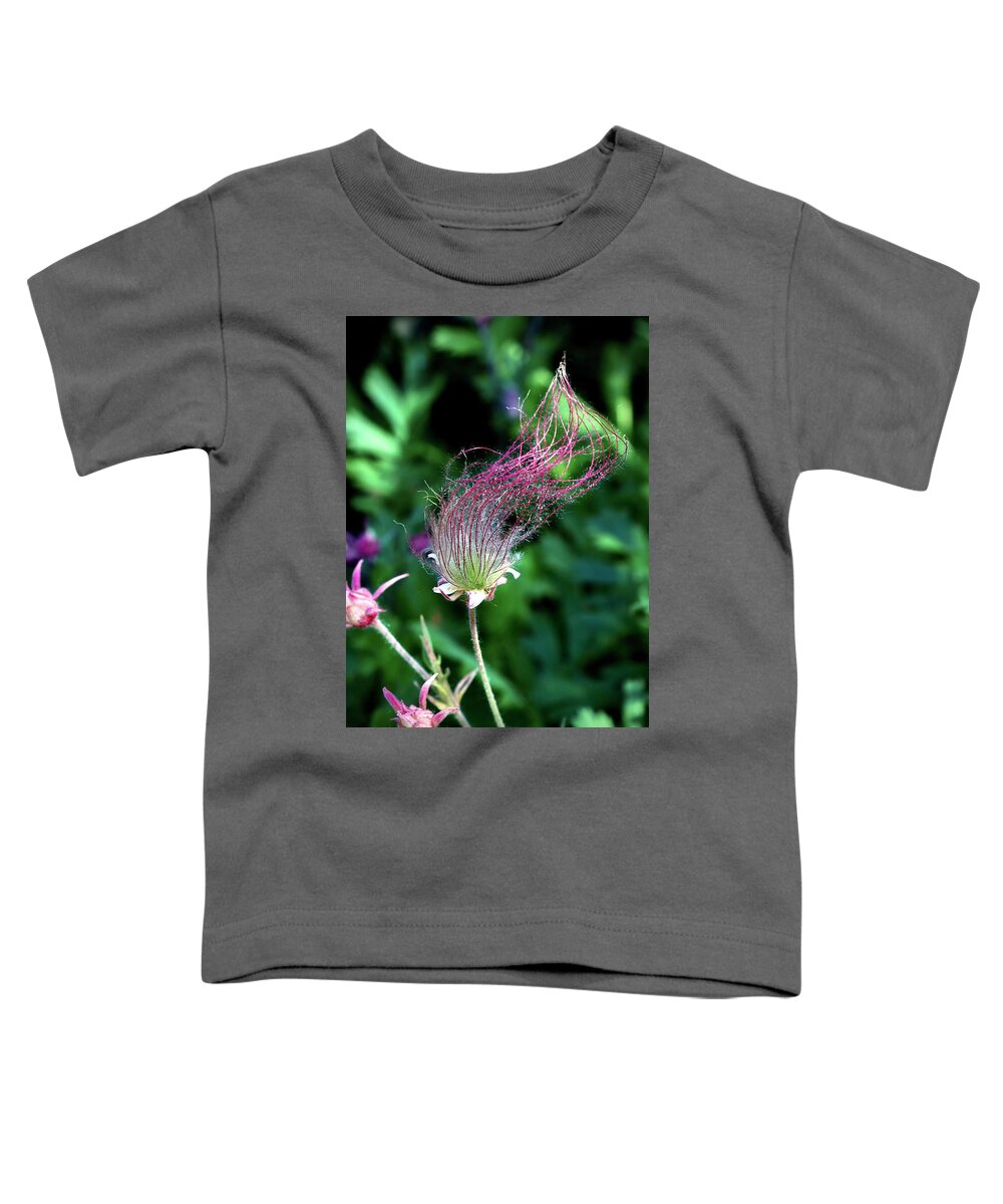 Wildflower Toddler T-Shirt featuring the photograph Prairie Smoke by Sarah Lilja