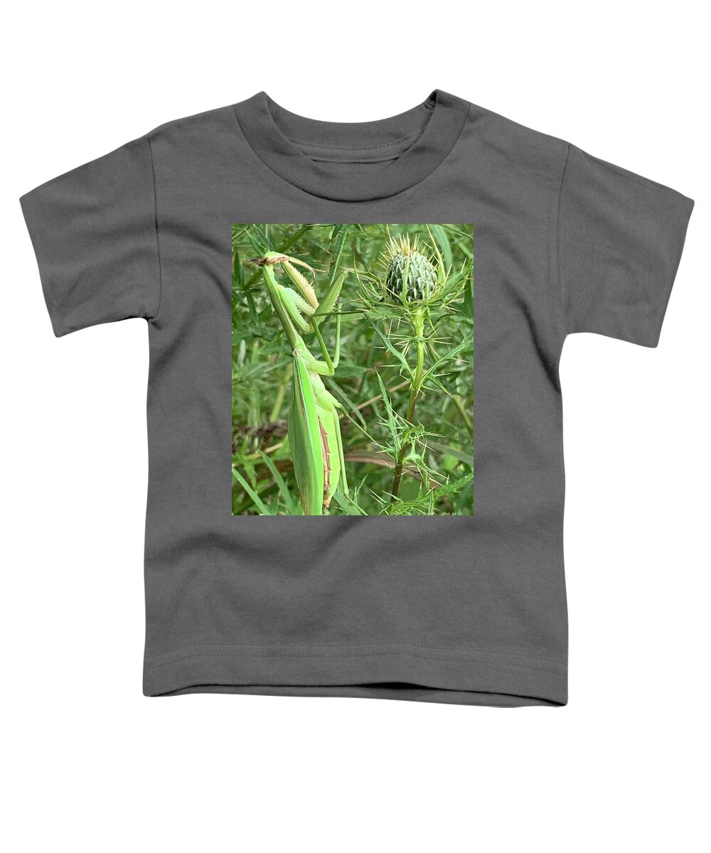  Toddler T-Shirt featuring the photograph Praying Mantis by Annamaria Frost