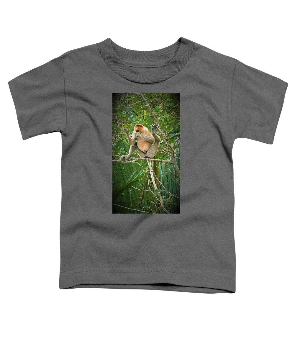  Proboscis Monkey. Monkey Toddler T-Shirt featuring the photograph Proboscis monkey in the wild by Robert Bociaga