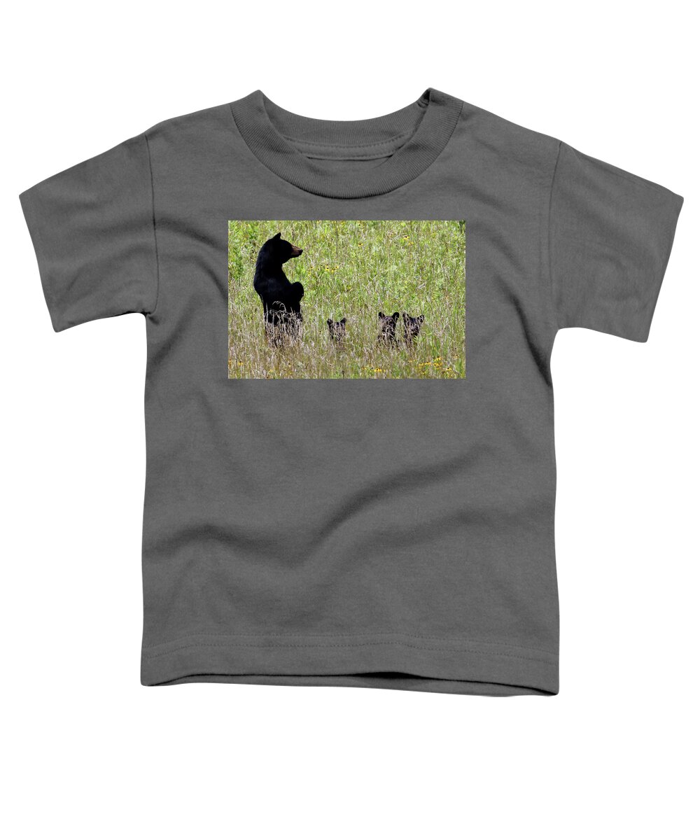 Tennessee Toddler T-Shirt featuring the photograph Protective Black Bear by Jennifer Robin