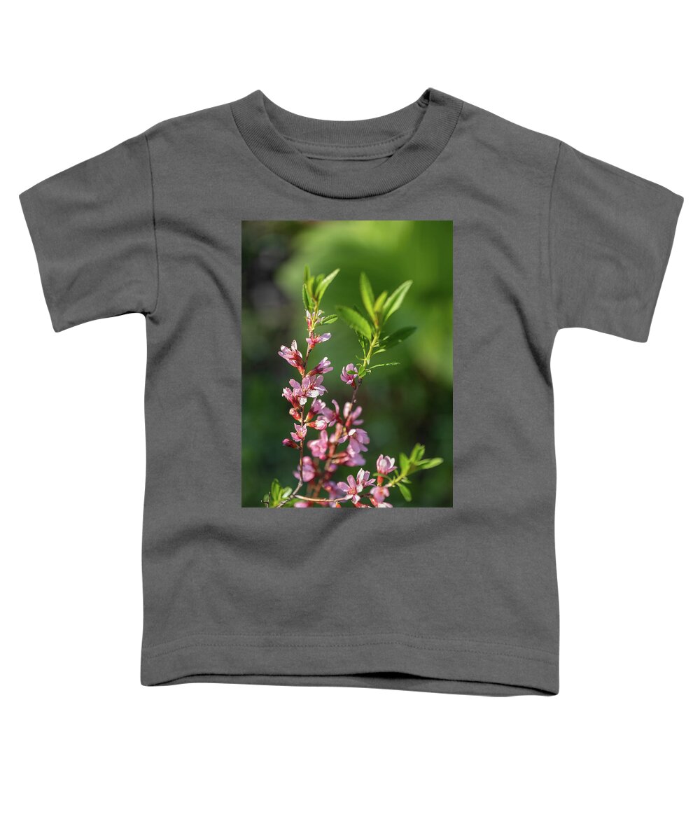 Prunus Toddler T-Shirt featuring the photograph Prunus Tenella Flowers Dwarf Russian Almond by Artur Bogacki