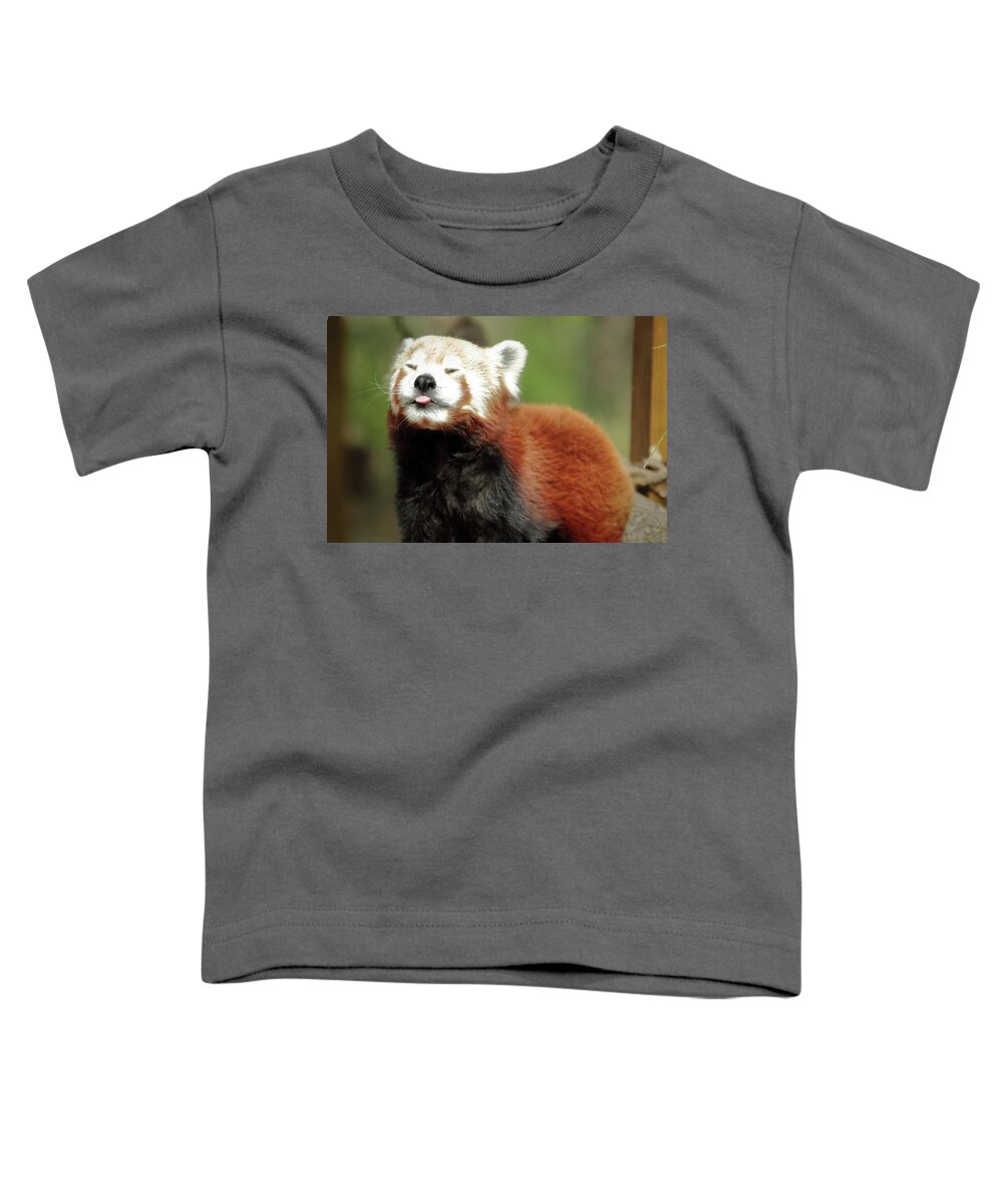 Red Panda Toddler T-Shirt featuring the photograph Psssstttt by Lens Art Photography By Larry Trager