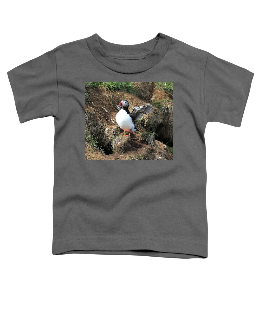 Puffin Toddler T-Shirt featuring the photograph Puffin 2 - Northeast Iceland by Richard Krebs