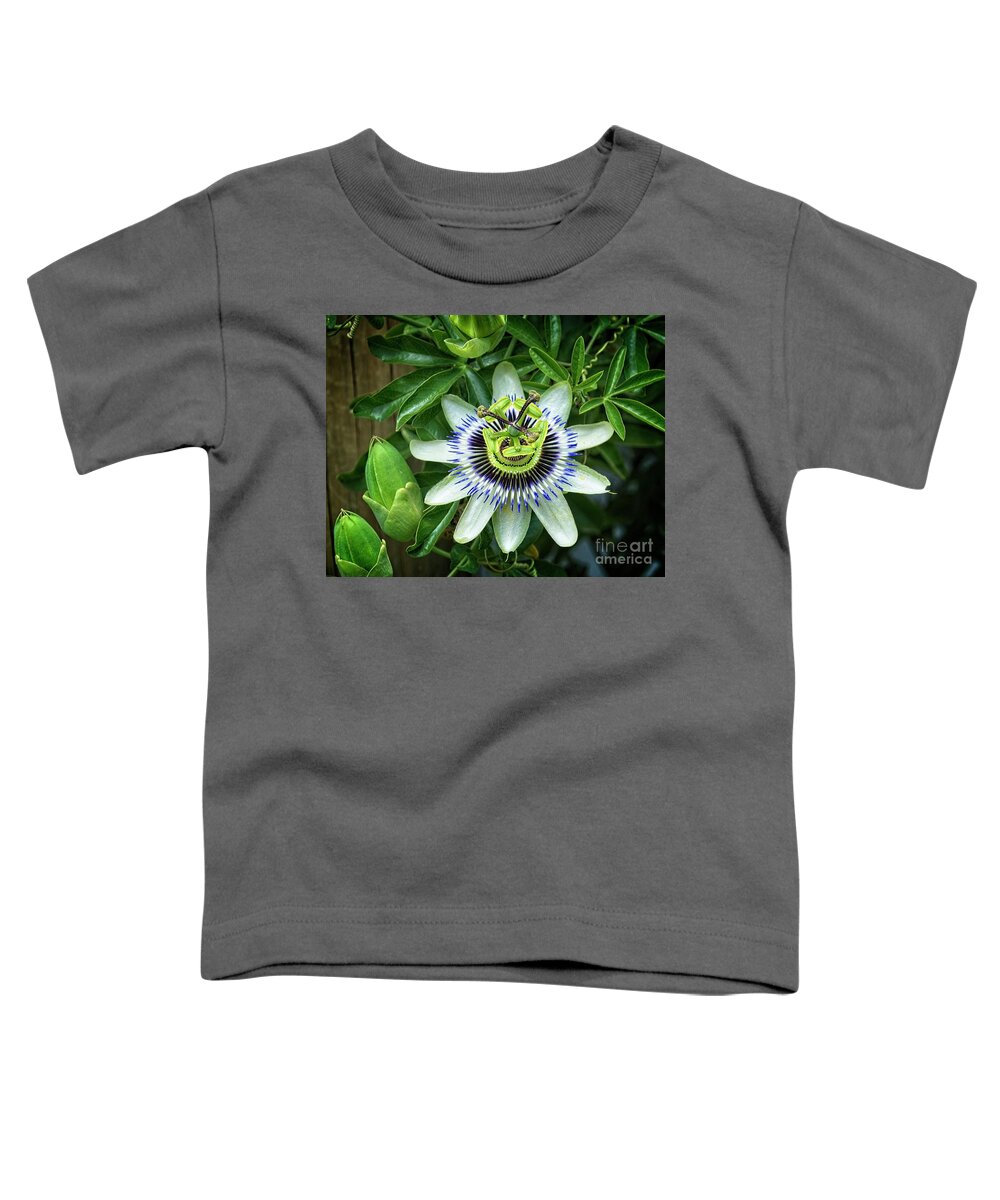 Passion Flower Toddler T-Shirt featuring the photograph Purple Passion flower by Fran Woods