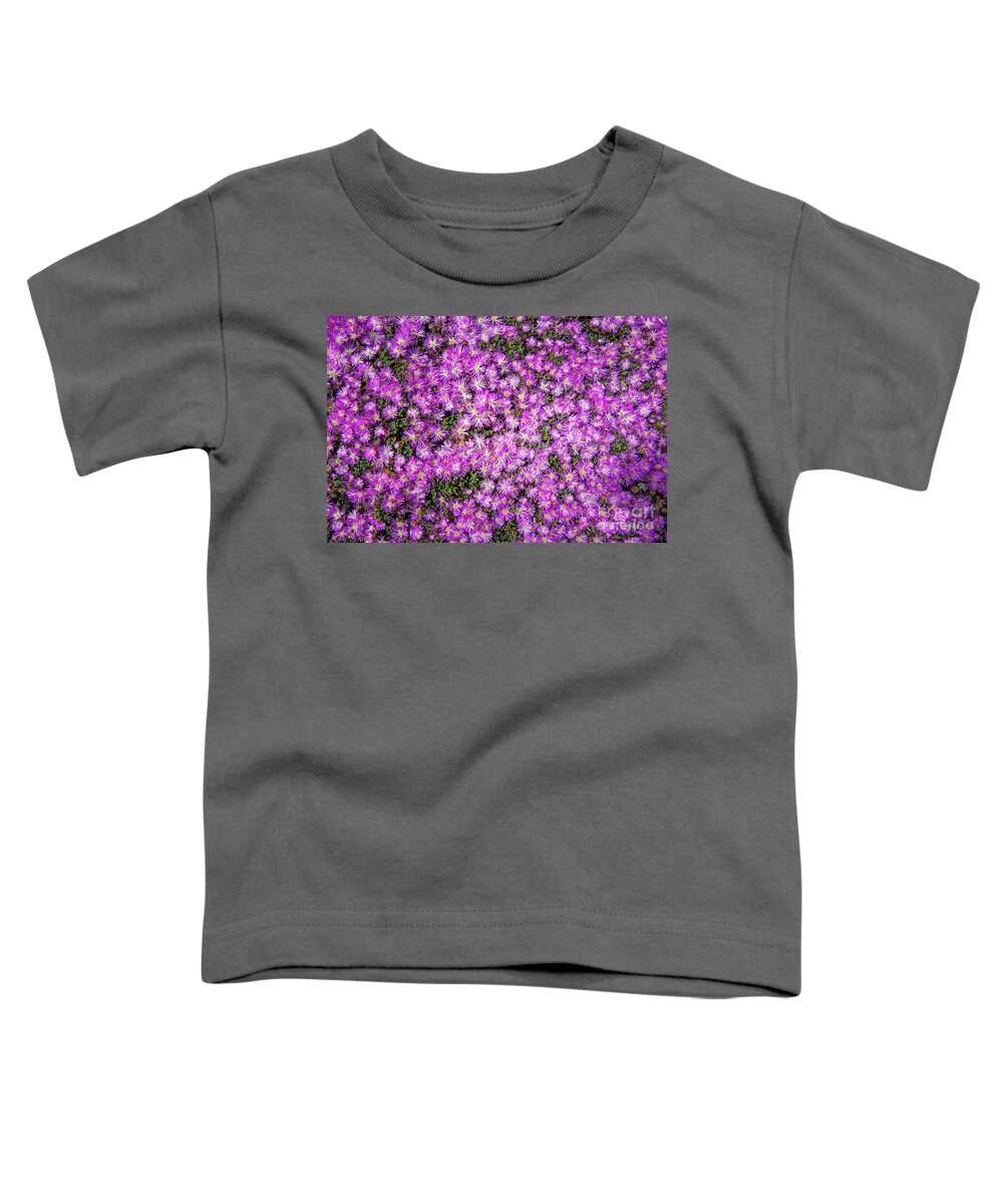 Ca Route 1 Toddler T-Shirt featuring the photograph Purplish Pinkish Blooms by David Levin