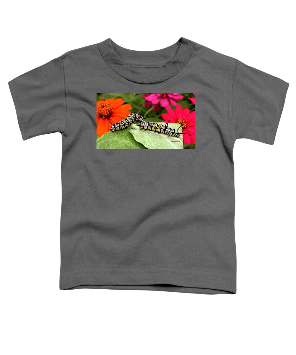 Queen Caterpillar Toddler T-Shirt featuring the photograph Queen Caterpillar Buddies 16X9 by Nancy Denmark