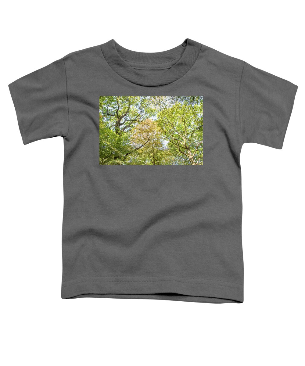 Queen's Wood Toddler T-Shirt featuring the photograph Queen's Wood Trees Fall 2 by Edmund Peston