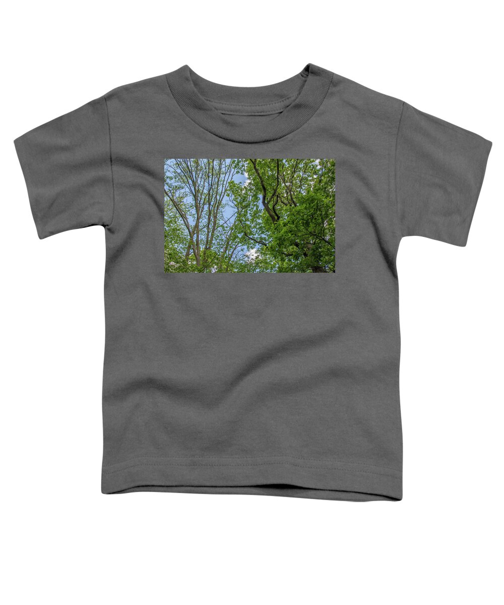 Queen's Wood Toddler T-Shirt featuring the photograph Queen's Wood Trees Spring 6 by Edmund Peston