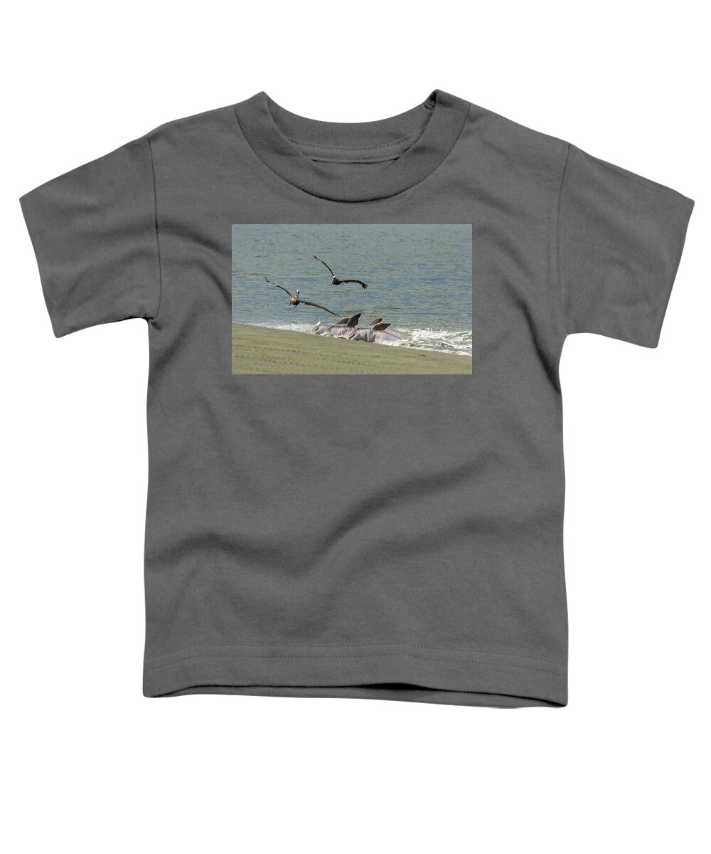 Dolphin Toddler T-Shirt featuring the photograph Race for the Fish by Patricia Schaefer