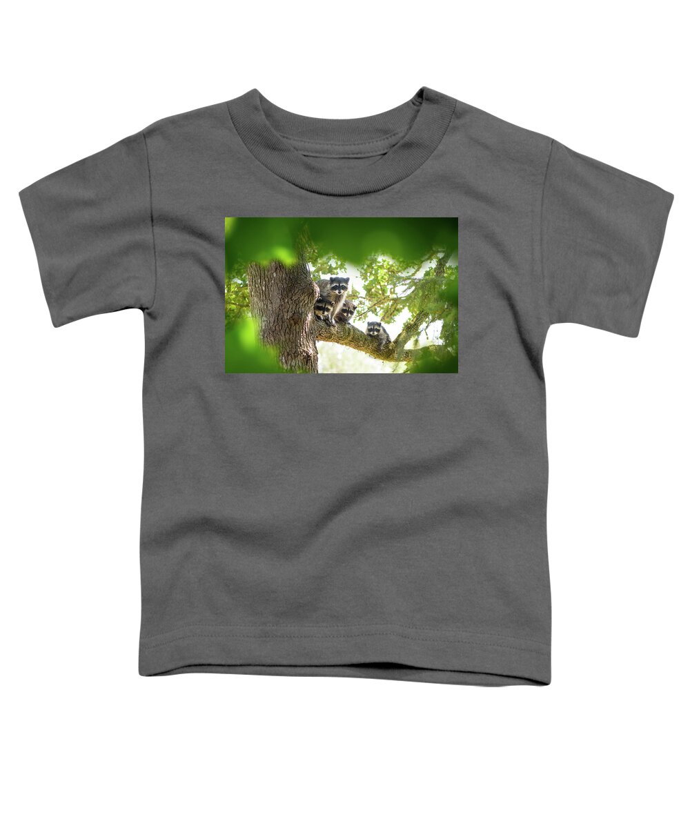 Raccoon Family Toddler T-Shirt featuring the photograph Racoon Family by Naomi Maya