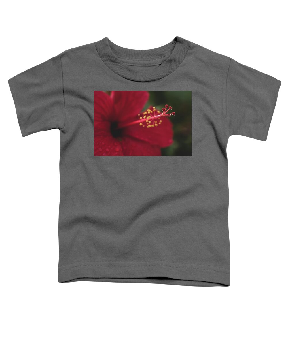 Flowers Toddler T-Shirt featuring the photograph Rain on Red Hibiscus by Adam Johnson