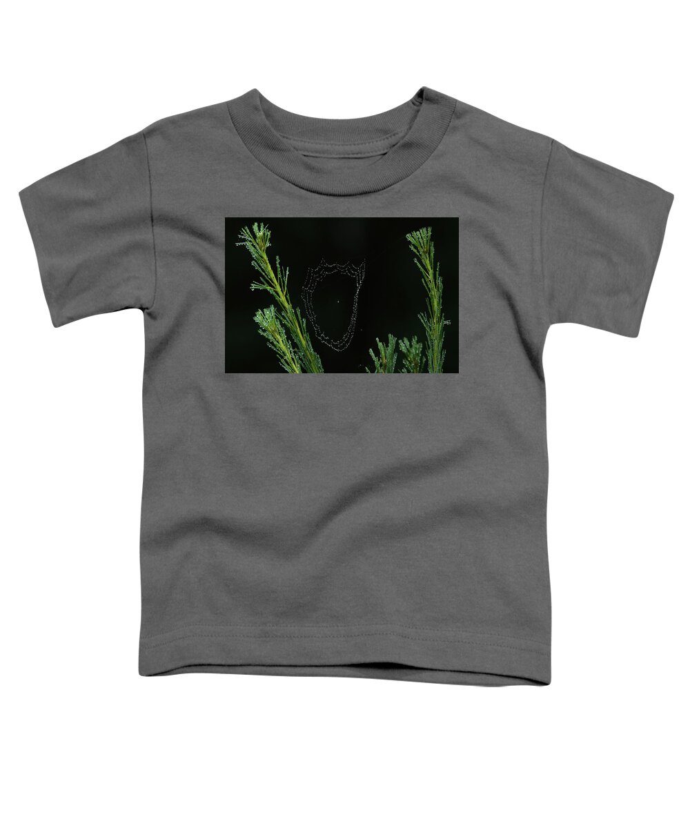 Cobweb Toddler T-Shirt featuring the photograph Raindrops cobweb by Brook Burling