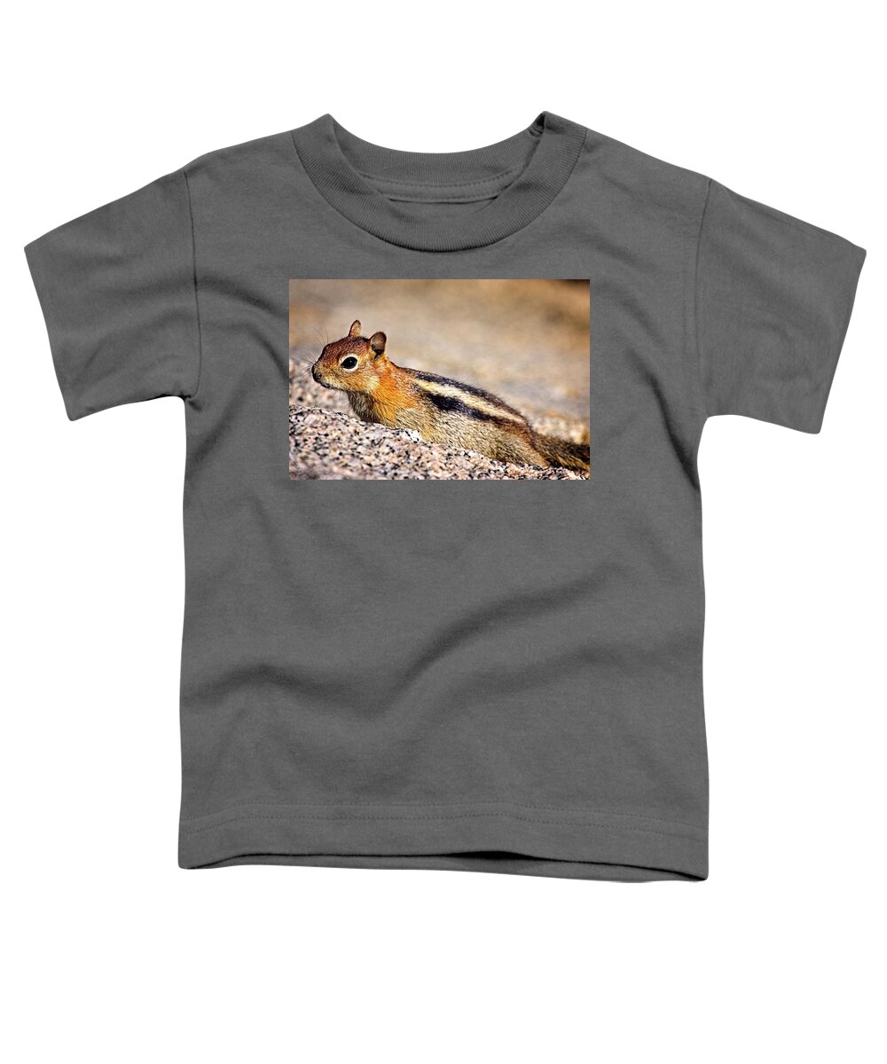 Chipmunk Toddler T-Shirt featuring the photograph Ready To Run by David Desautel