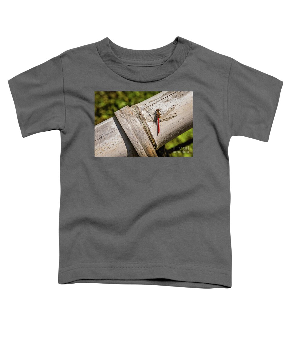 Dragonfly Toddler T-Shirt featuring the photograph Red dragonfly by Lyl Dil Creations