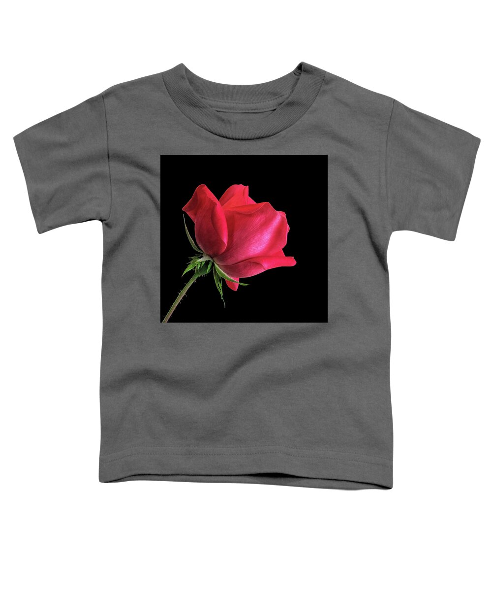 Bedroom Decor Toddler T-Shirt featuring the photograph Red Rose on Black by David and Carol Kelly