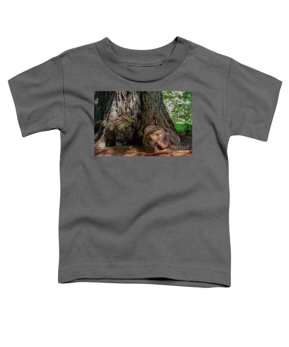 Redwood In Sequoia National Forest Toddler T-Shirt featuring the digital art Redwood in Sequoia National Forest by Tammy Keyes