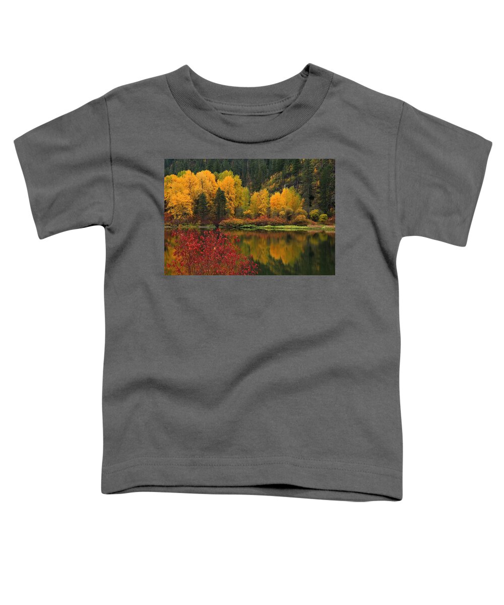 Reflections Of Fall Beauty Toddler T-Shirt featuring the photograph Reflections of fall beauty by Lynn Hopwood