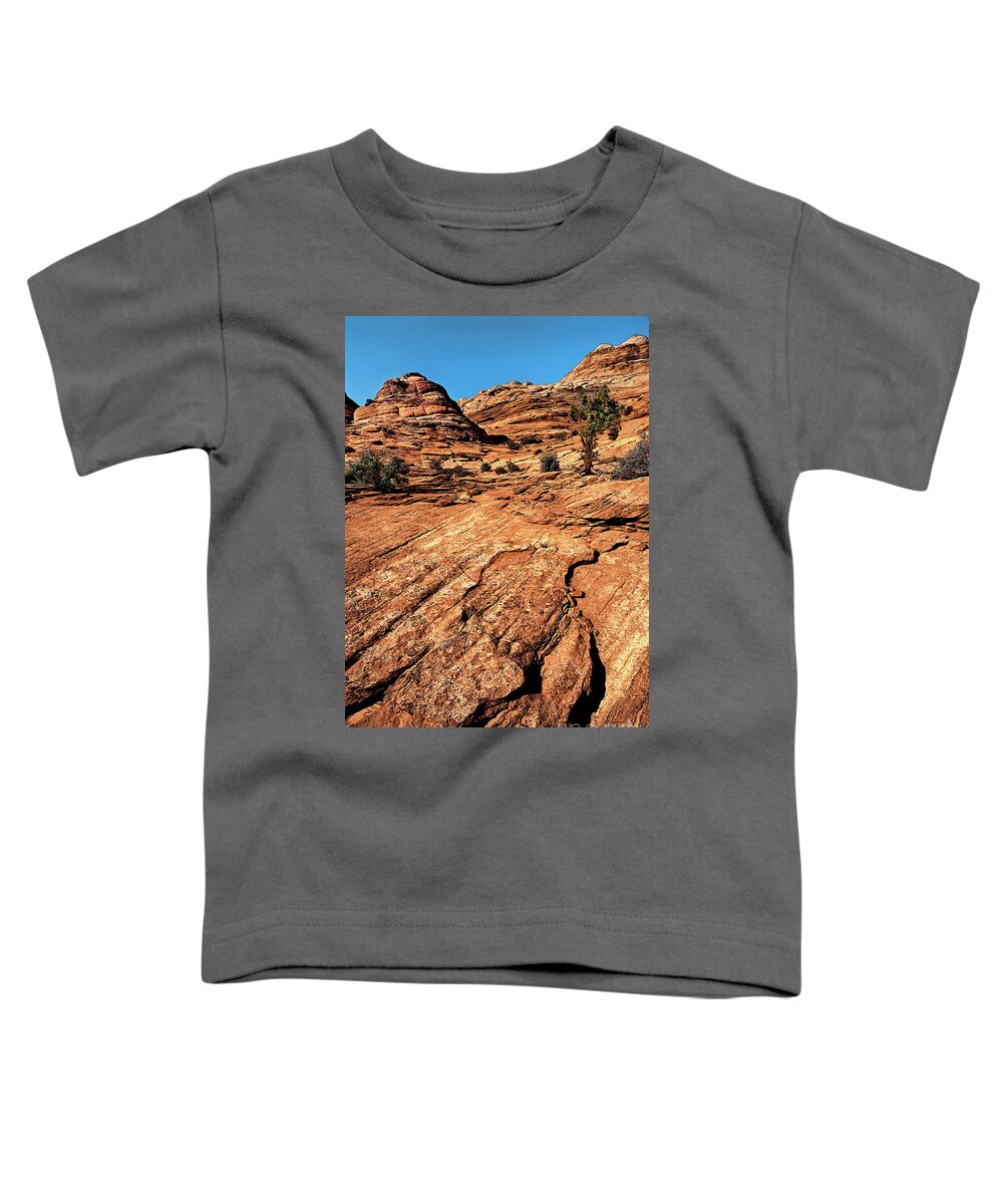 Dave Welling Toddler T-Shirt featuring the photograph Remote Sandstone Formations Paria Canyon Utah by Dave Welling
