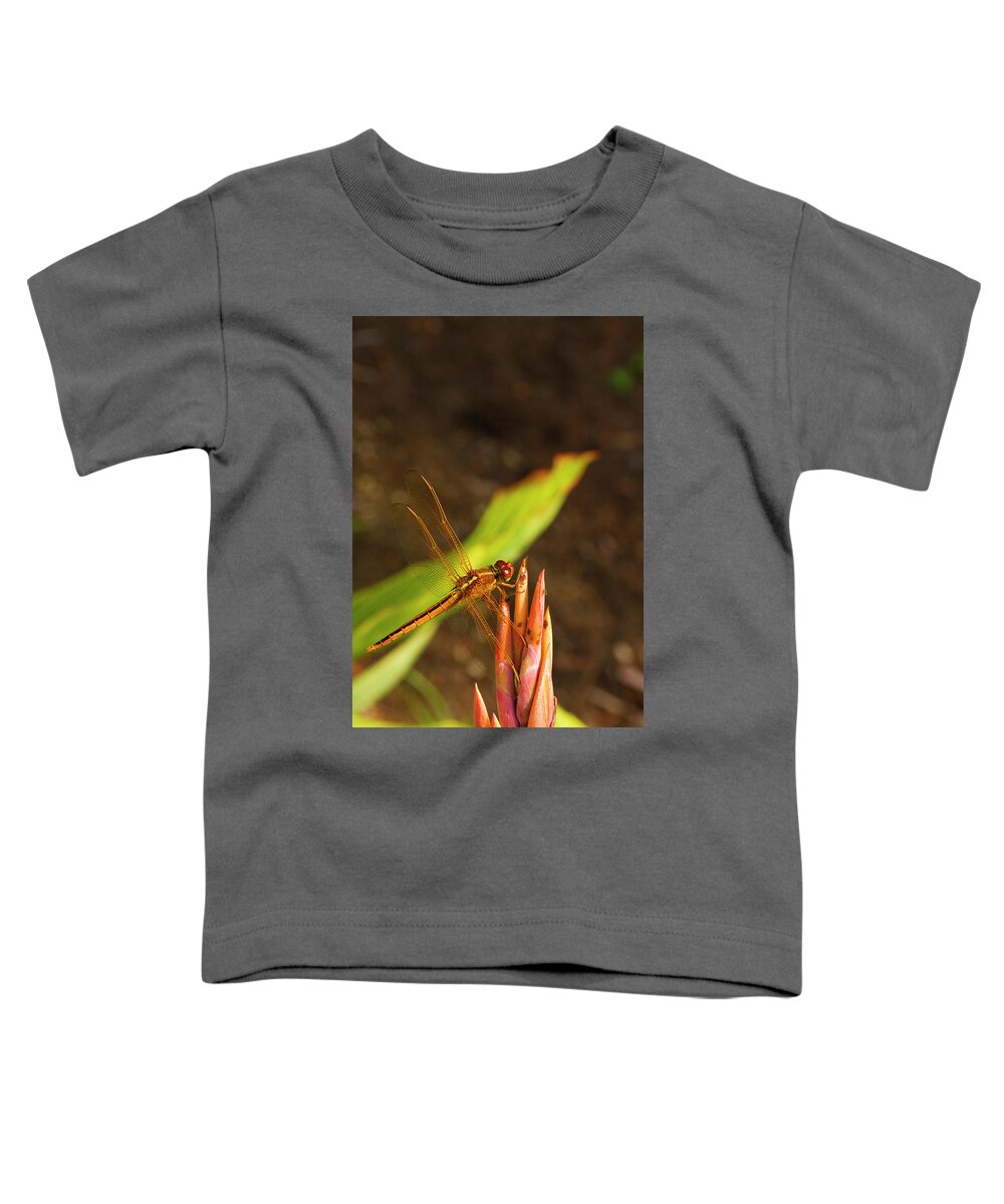 Dragonfly Toddler T-Shirt featuring the photograph Resting Dragon by Bill Barber