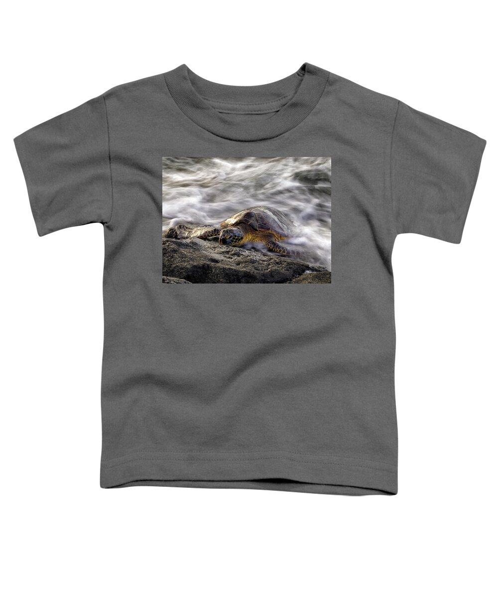 A Bay Toddler T-Shirt featuring the photograph Resting Honu by Christopher Johnson