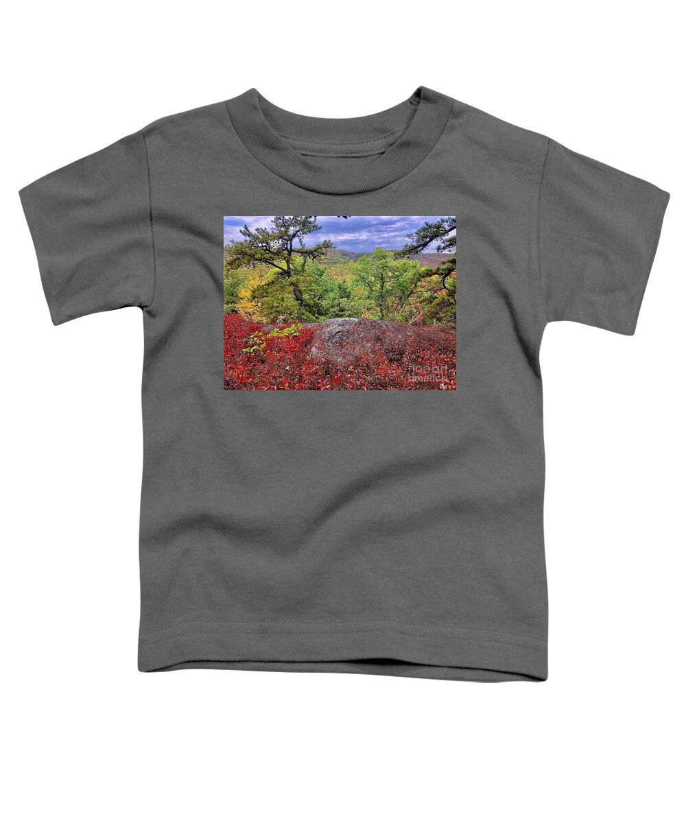 #ridge Top Toddler T-Shirt featuring the photograph Ridge Top by Cornelia DeDona