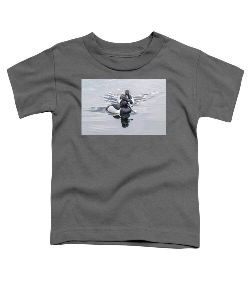 Ringed Neck Toddler T-Shirt featuring the photograph Ringed Neck Duck Pair by Jerry Cahill