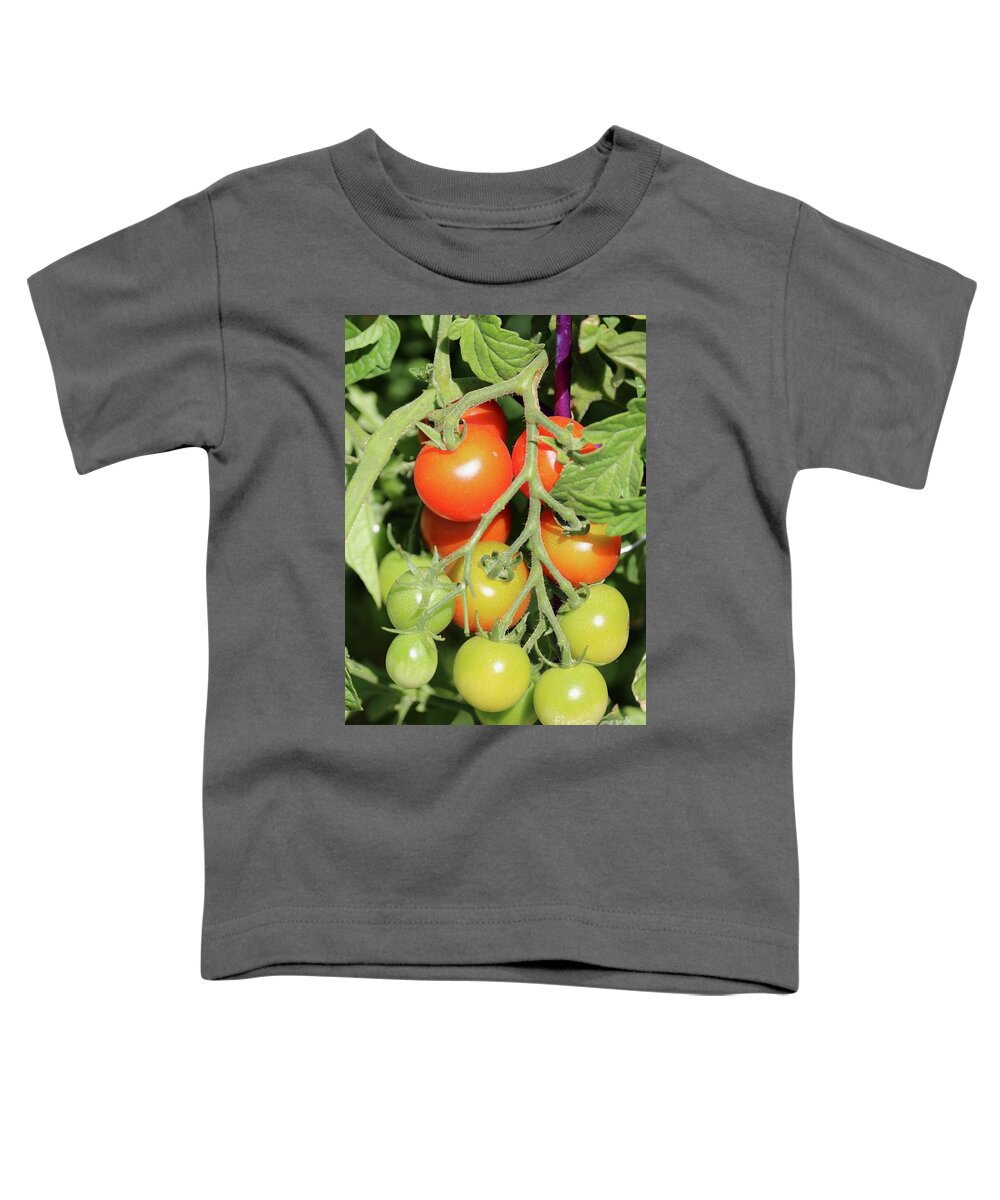 Cherry Tomato Toddler T-Shirt featuring the photograph Ripening Cherry Tomatoes by Carol Groenen
