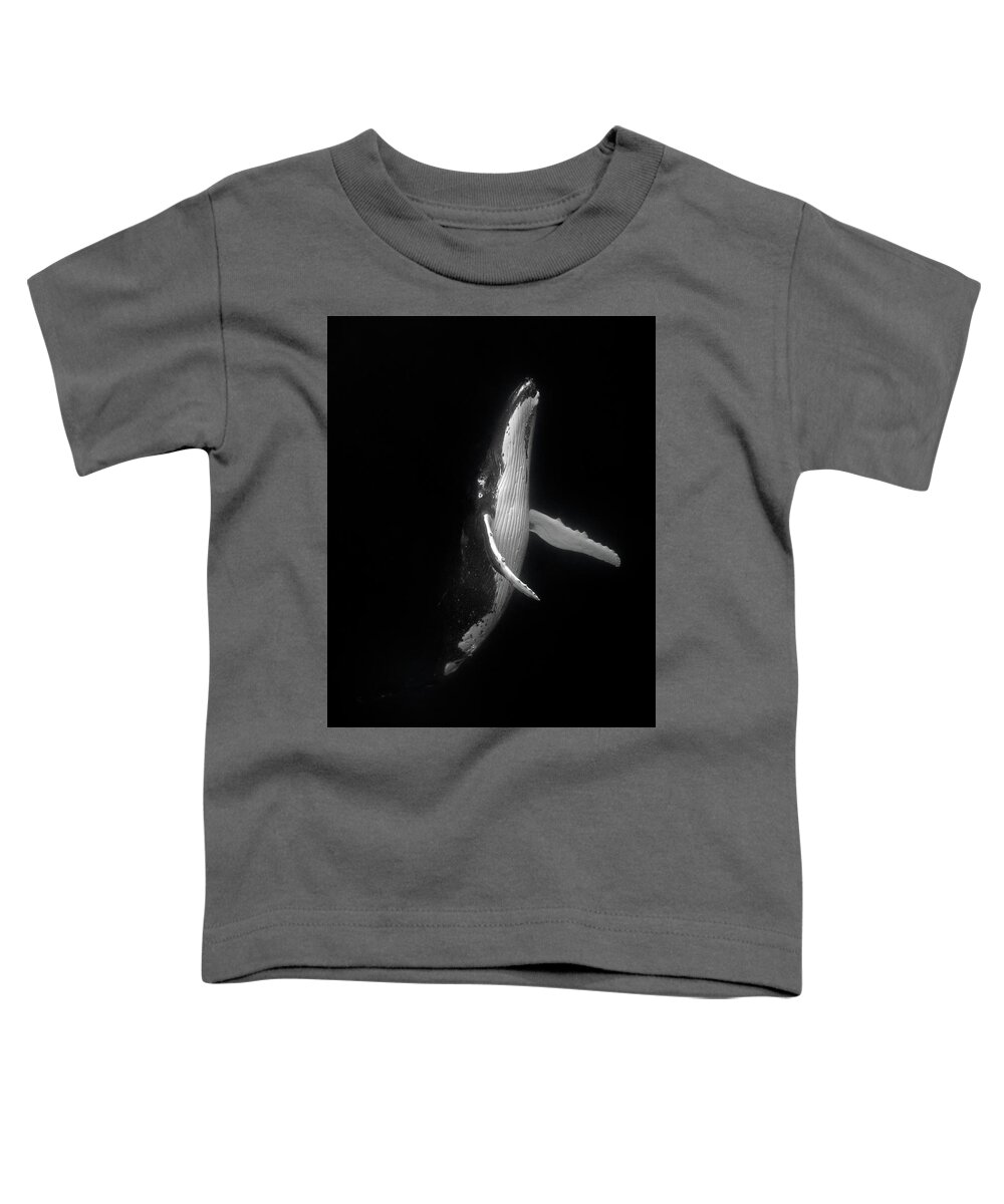 Humpback Whale Toddler T-Shirt featuring the photograph Rising Humpback Whale by Max Waugh