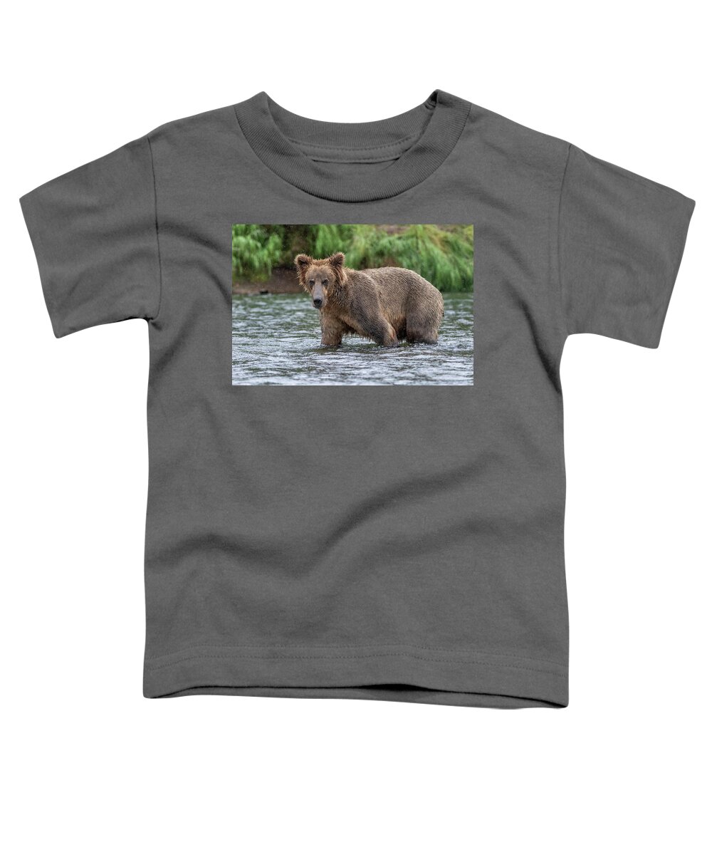 Bear Toddler T-Shirt featuring the photograph River Bear 2 by Randy Robbins
