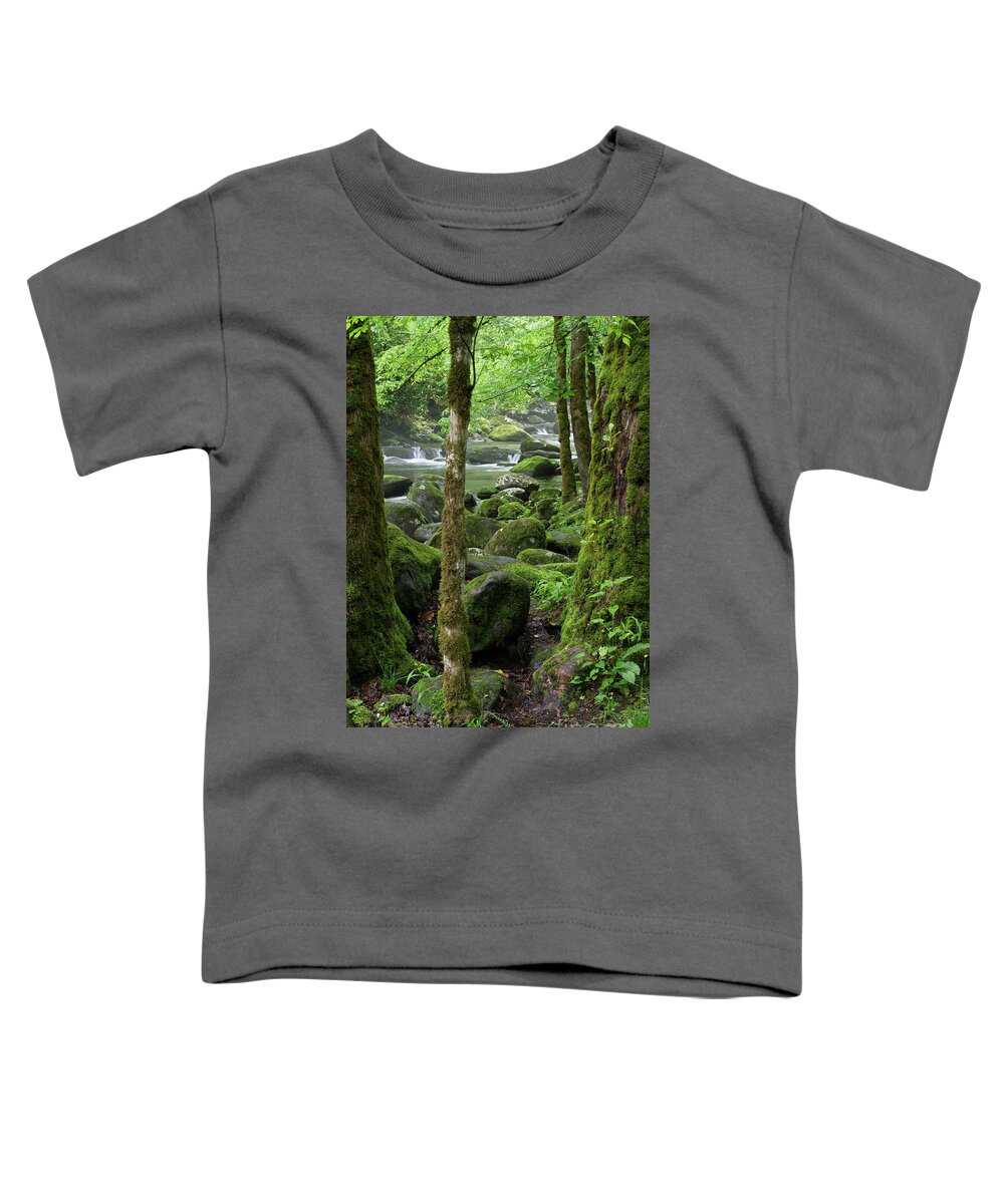 Moss Toddler T-Shirt featuring the photograph Riverside Moss 2 by Phil Perkins