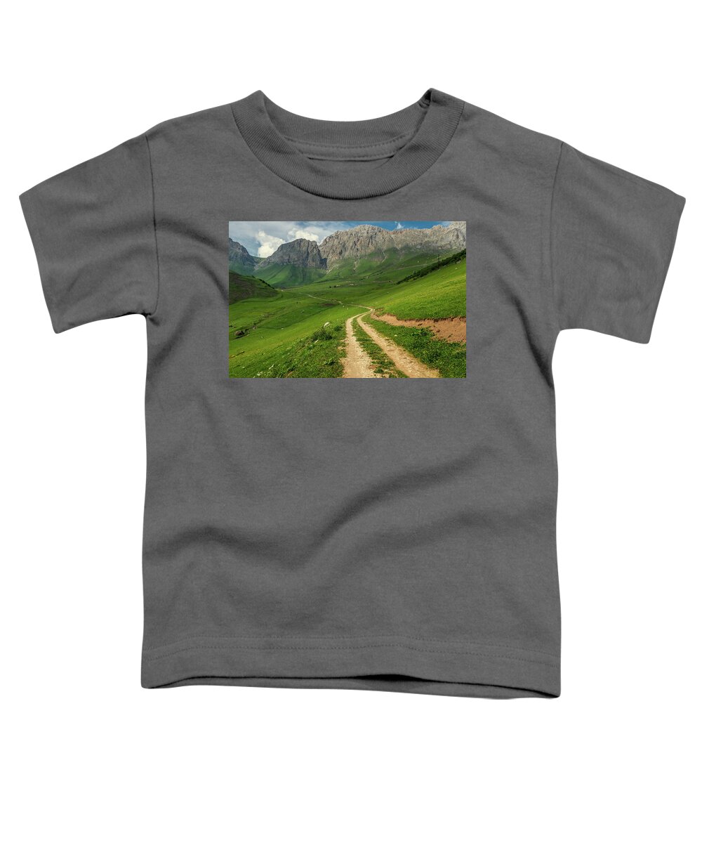Mountain Toddler T-Shirt featuring the photograph Road in mountains by Mikhail Kokhanchikov