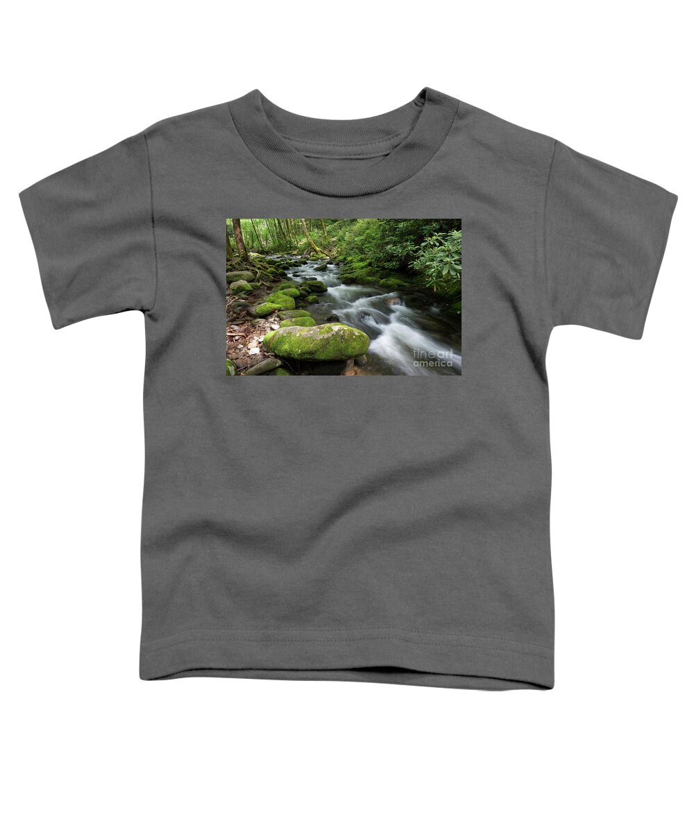 Smokies Toddler T-Shirt featuring the photograph Roadside Waterway by Phil Perkins