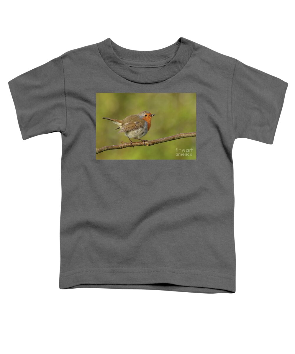 Robin Nature Birds Garden-birds Red Orange Brown Colours Photography Prints 2020 Toddler T-Shirt featuring the photograph Robin garden friend by Peter Skelton