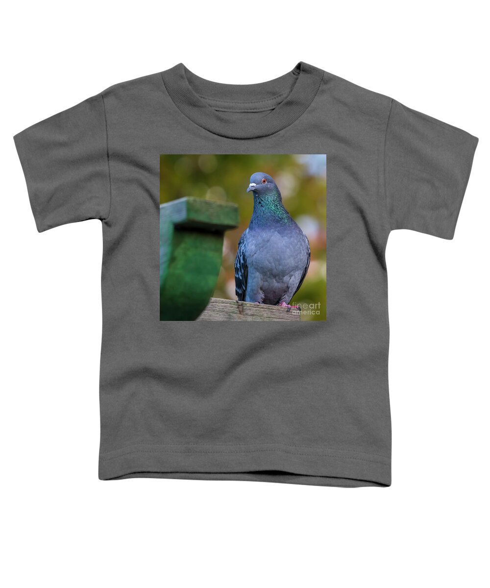Beak Toddler T-Shirt featuring the photograph Rock Pigeon Columba Perched on Wooden Post Green Background Cadiz by Pablo Avanzini