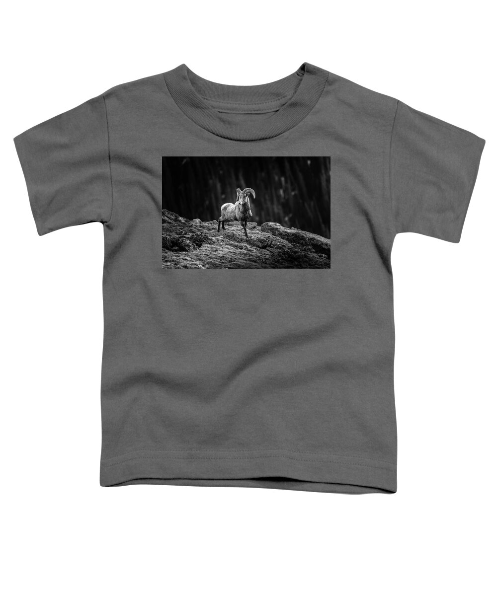 Rocky Mountain Bighorn Ram Toddler T-Shirt featuring the photograph Rocky Mountain Bighorn Ram by Dan Sproul