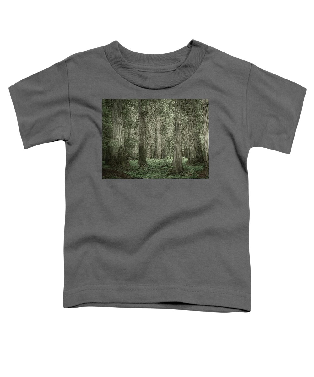 Cedar Toddler T-Shirt featuring the photograph Ross Creek Cedars by Dan Eskelson