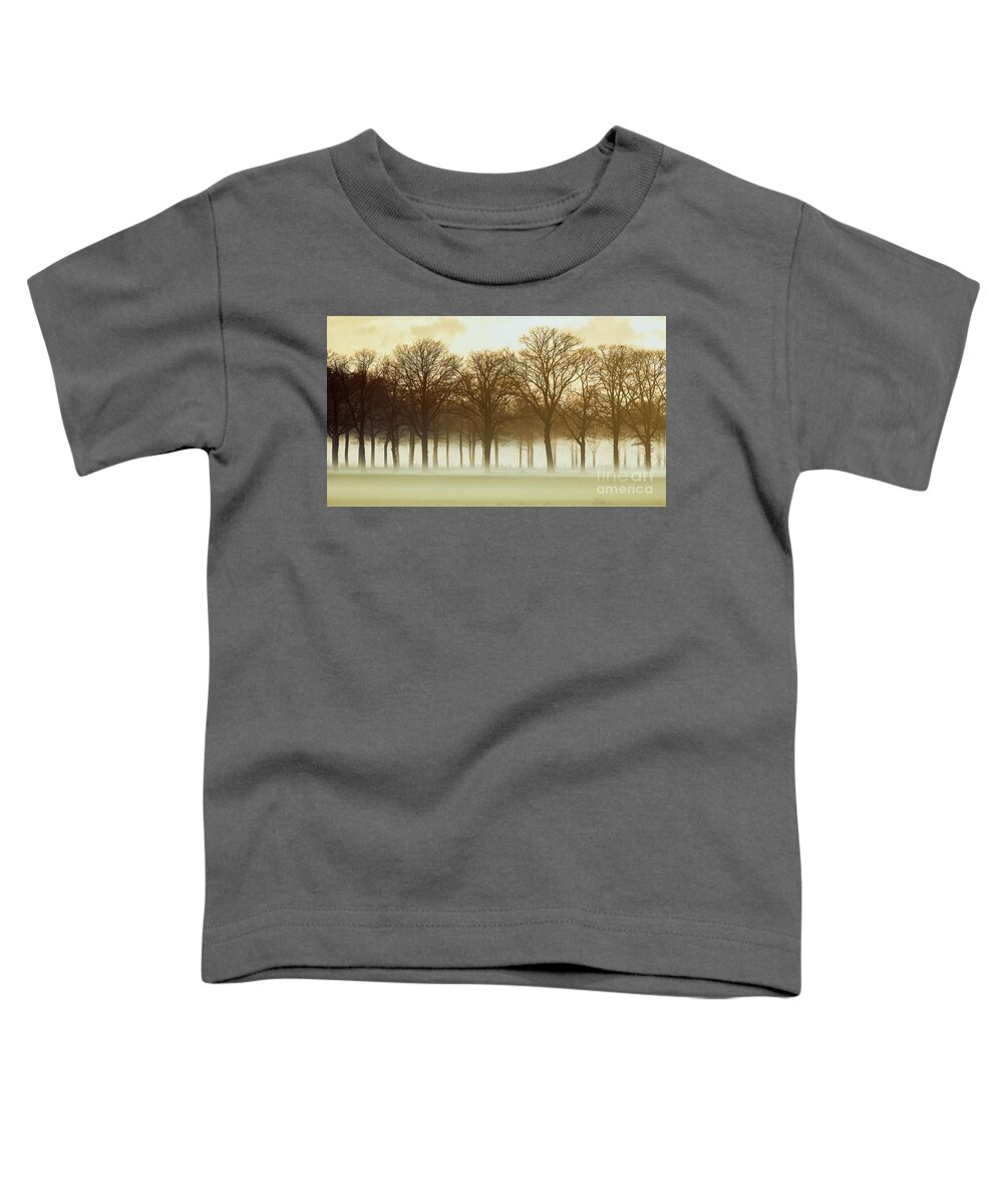 Row Trees Toddler T-Shirt featuring the photograph Row trees in a low-hanging mist by Nick Biemans