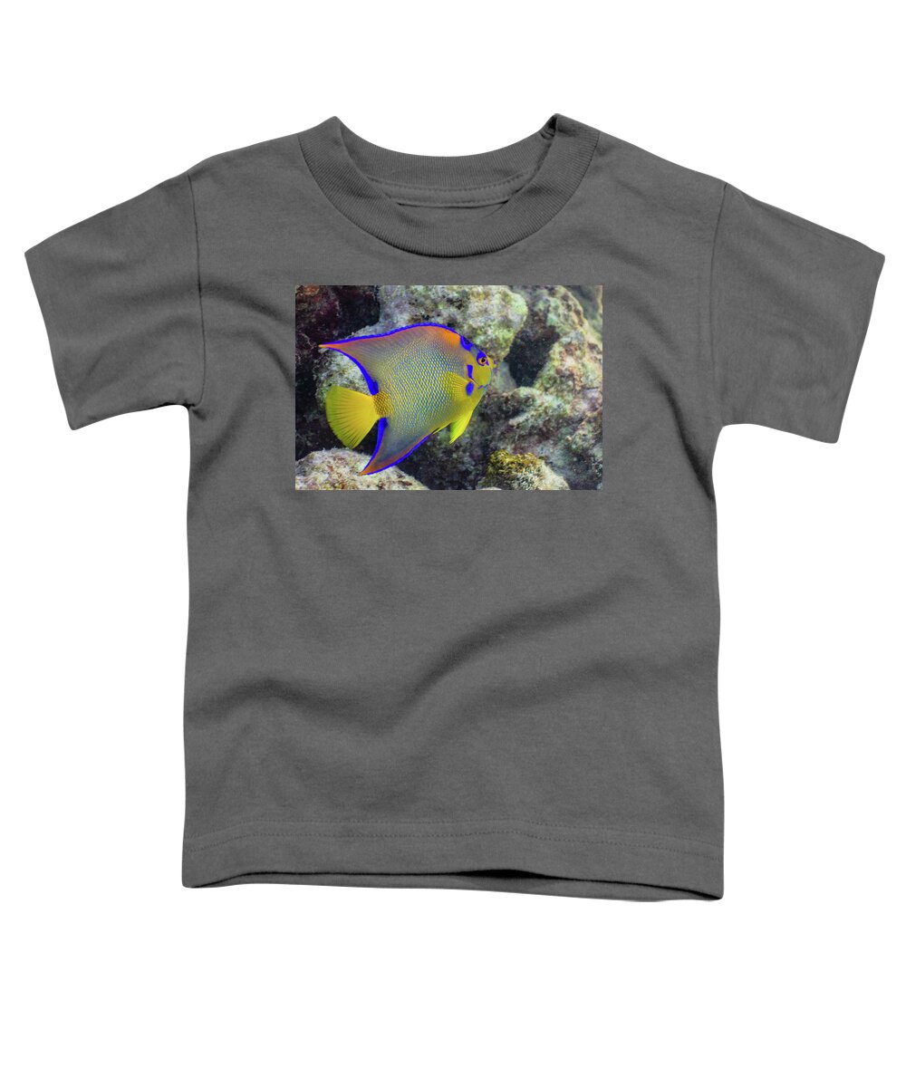 Fish Toddler T-Shirt featuring the photograph Royalty by Lynne Browne