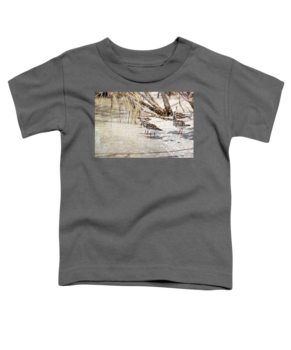 Nature Toddler T-Shirt featuring the photograph Ruddy Turnstone by Scott Pellegrin
