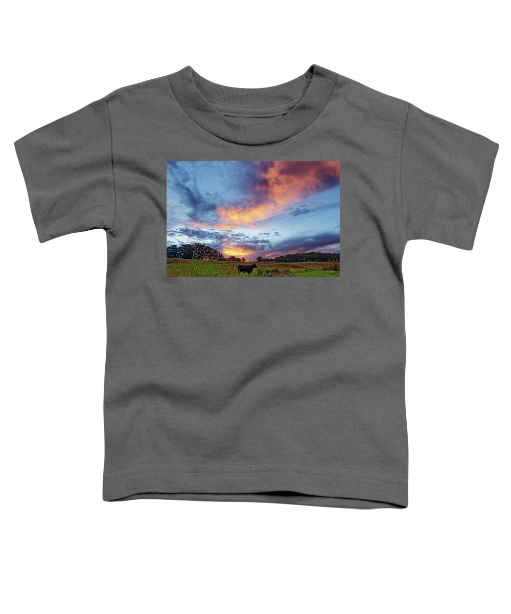 Rural Sunset. Beautiful Hawaii Toddler T-Shirt featuring the photograph Rural Hawaiian Sunset by Heidi Fickinger