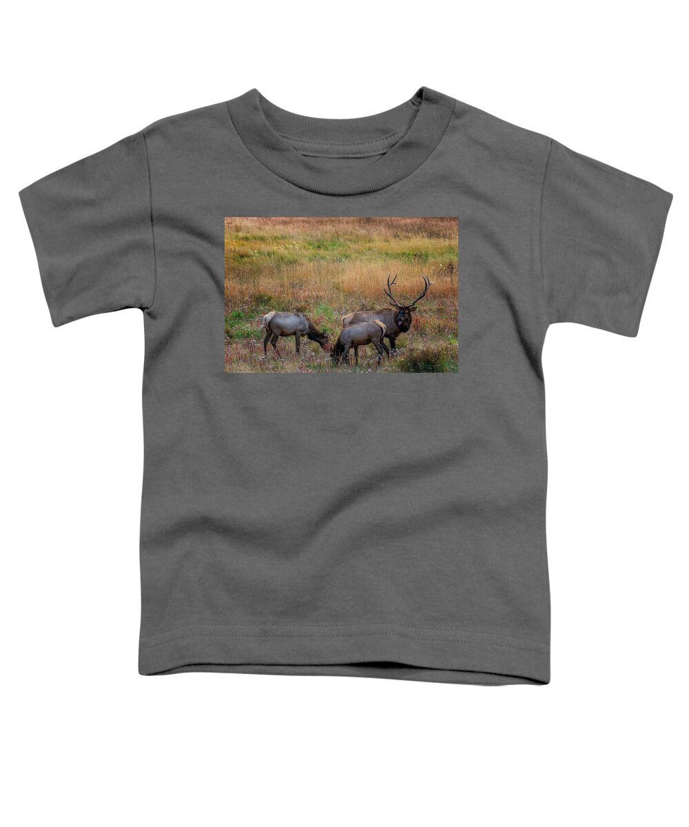  Toddler T-Shirt featuring the photograph Rutt by Bitter Buffalo Photography