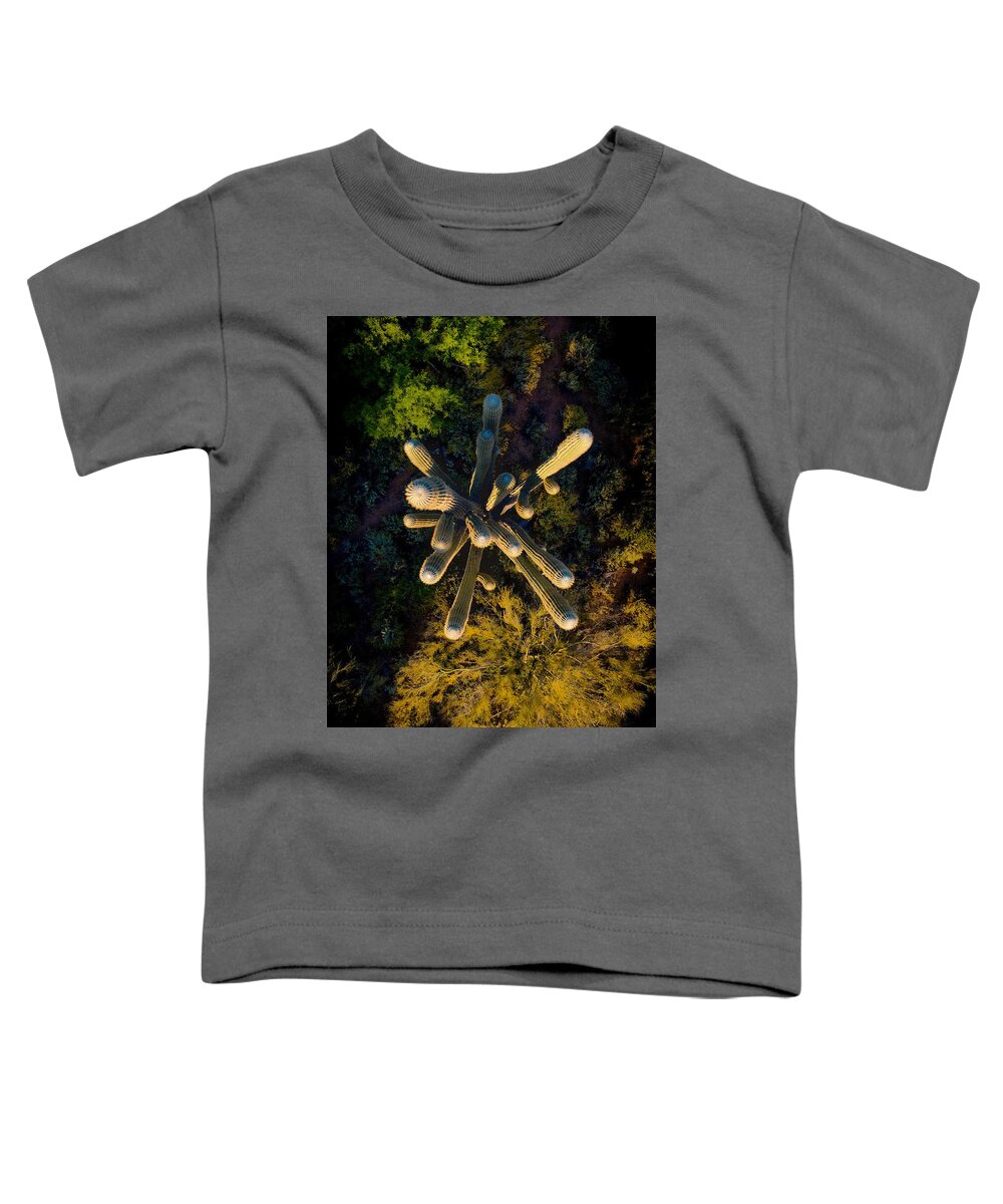 Arizona Toddler T-Shirt featuring the photograph Saguaro Cactus Arizona Top Down by Anthony Giammarino