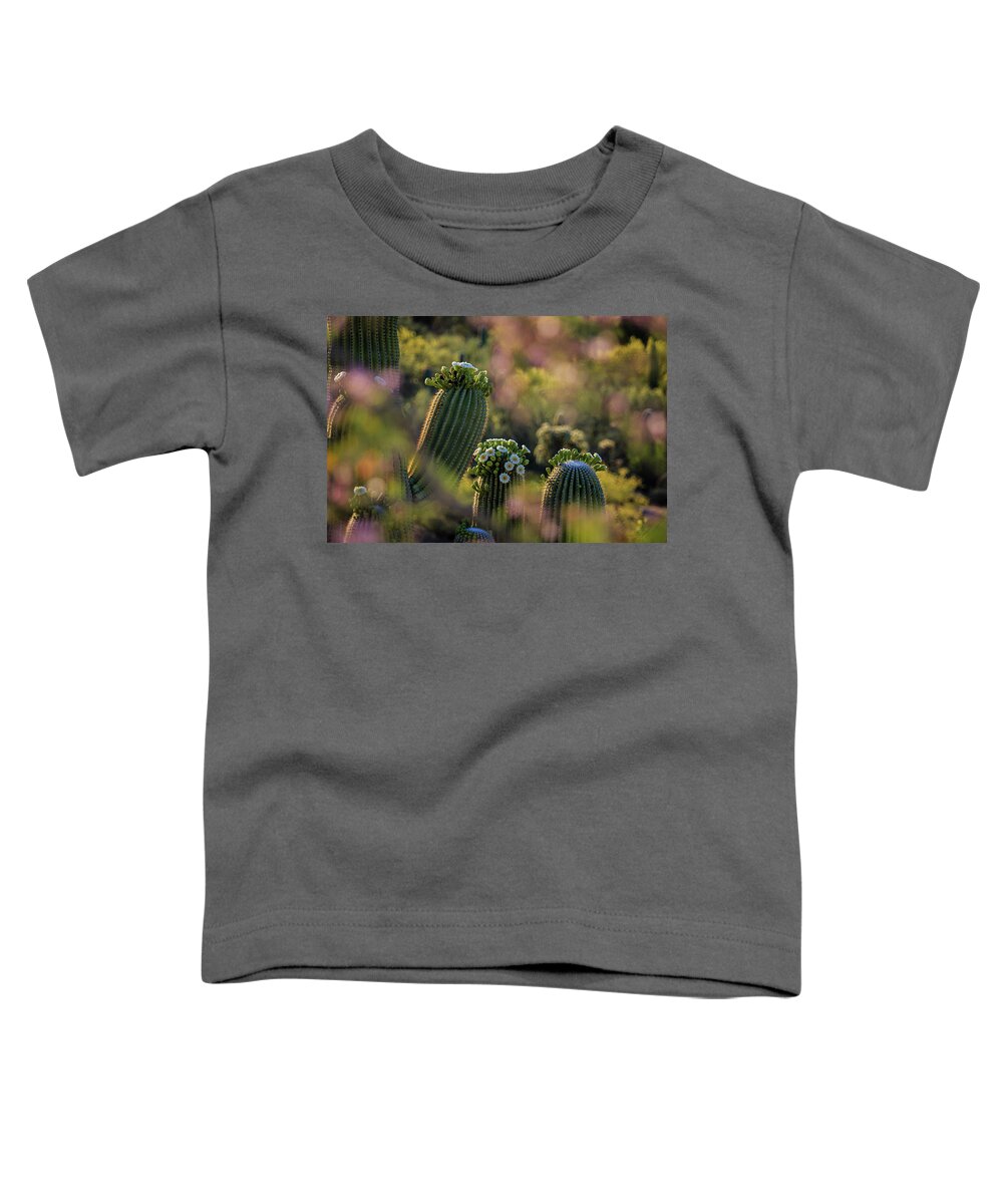 Carnegiea Gigantea Toddler T-Shirt featuring the photograph Saguaro with Ironwood Frame by Dennis Swena