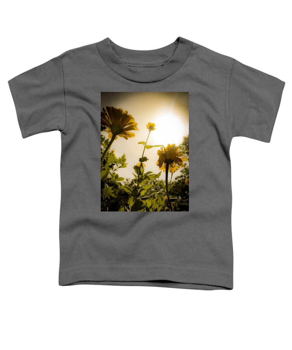 Zinnia Toddler T-Shirt featuring the photograph Saharan Dust Zinnias by W Craig Photography