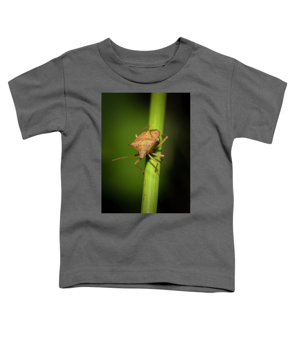 Spined Soldier Bug Toddler T-Shirt featuring the photograph Sally the Stink Bug by Mark Andrew Thomas
