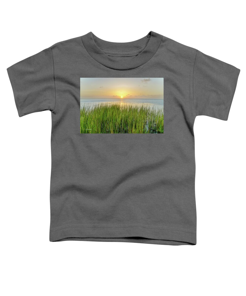 Howard Toddler T-Shirt featuring the photograph Salt Grass Sunset by Christopher Rice
