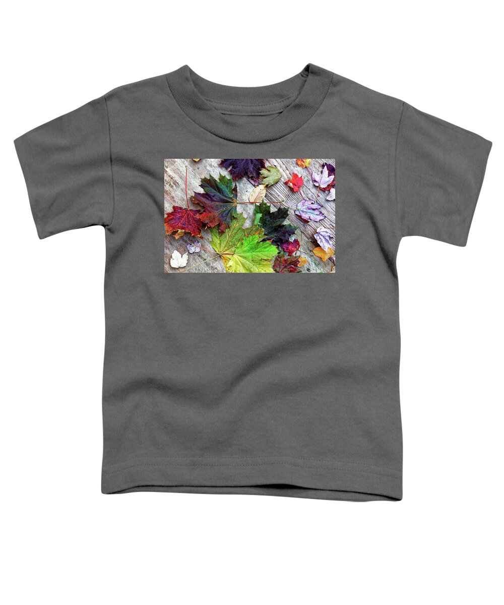 Scattered Autumn Leaves Toddler T-Shirt featuring the photograph Scattered Autumn Leaves by Doolittle Photography and Art