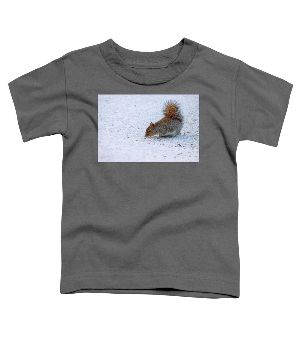 Squirrel Toddler T-Shirt featuring the photograph Scavenging by Mike Smale