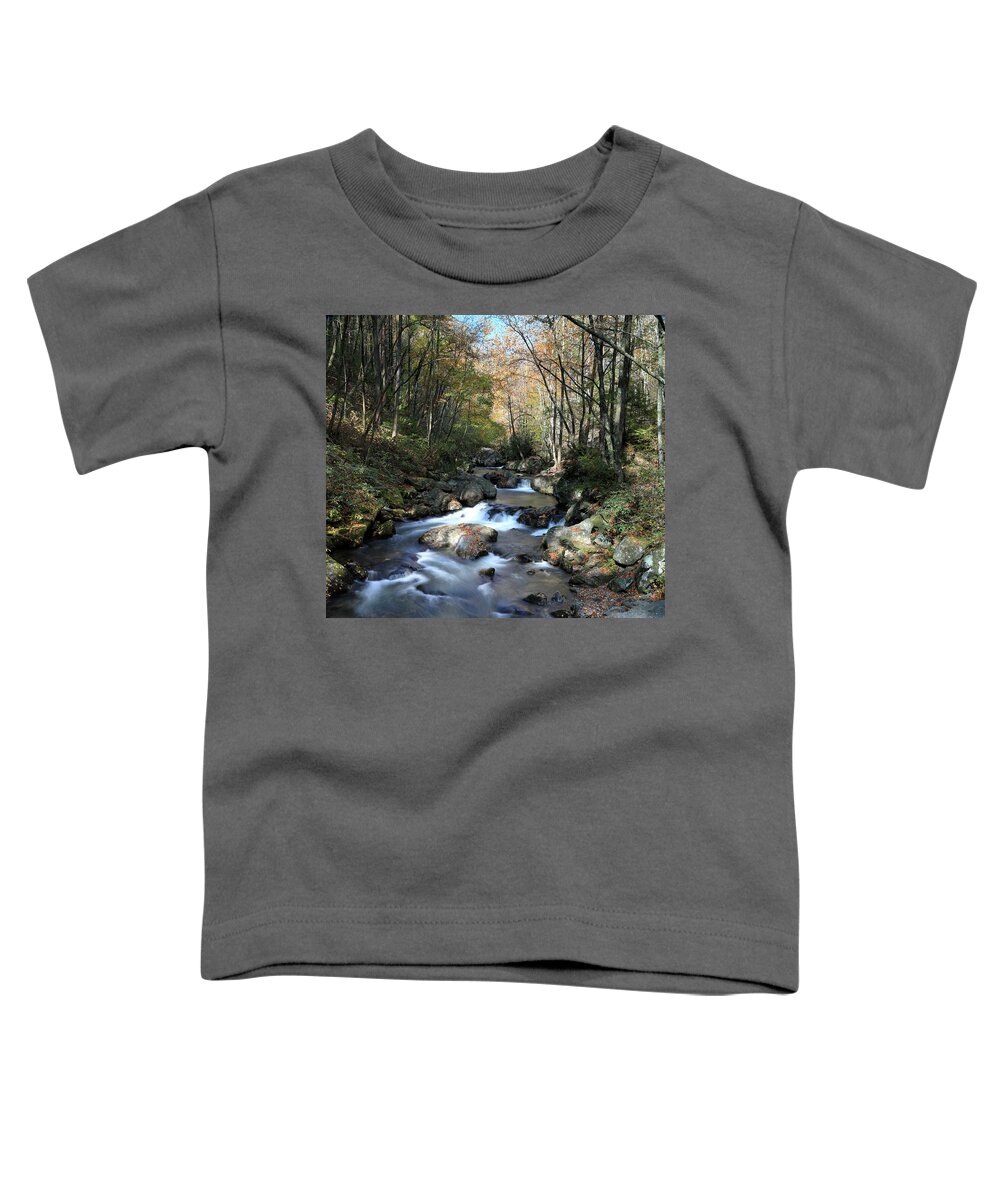 Tallulah River Toddler T-Shirt featuring the photograph Scenic Wild Tallulah River Georgia by Richard Krebs
