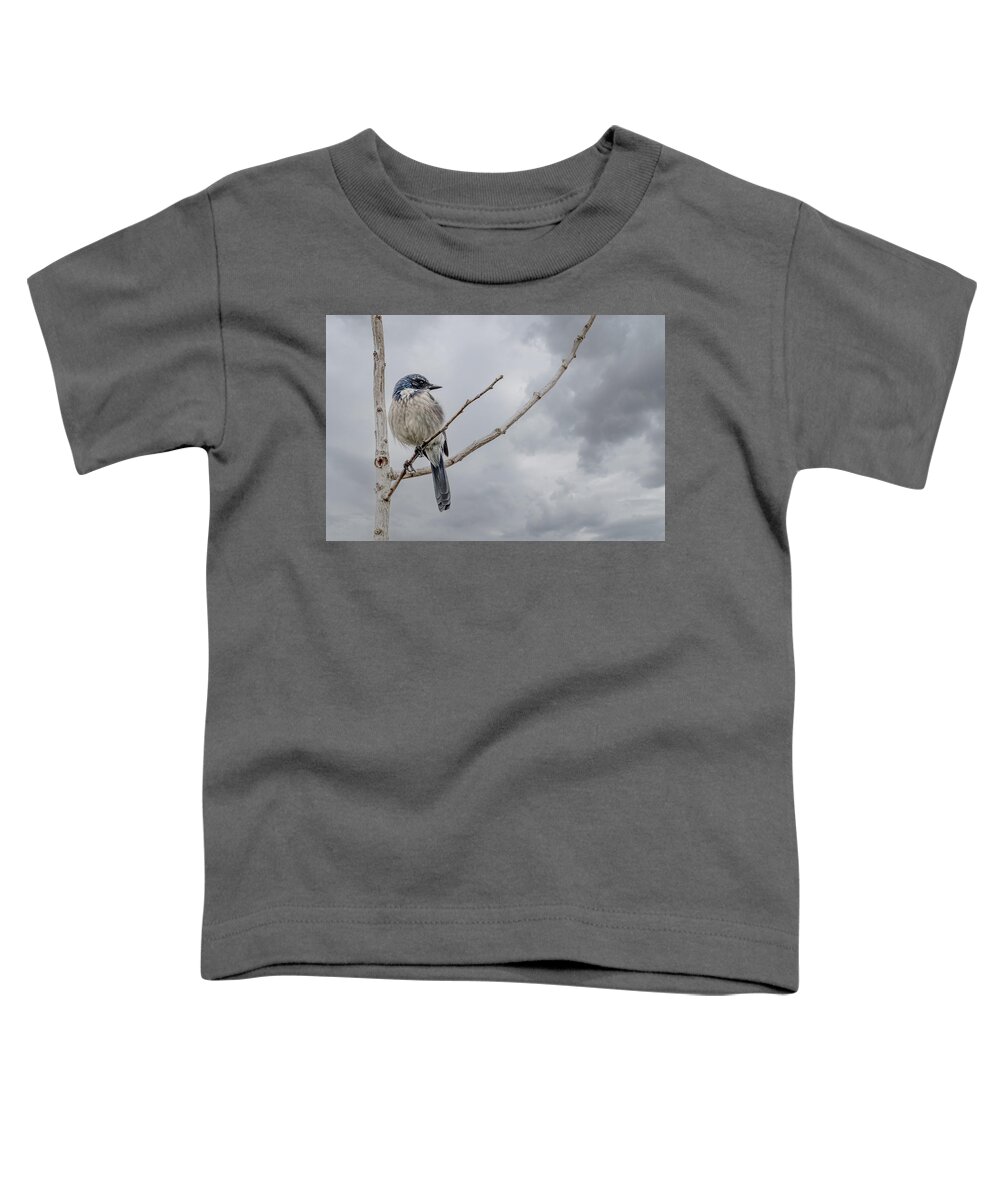 Jay Toddler T-Shirt featuring the photograph Scrub Jay by Jerry Cahill